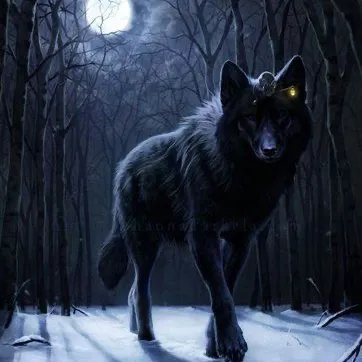 creator Ran_do's avatar