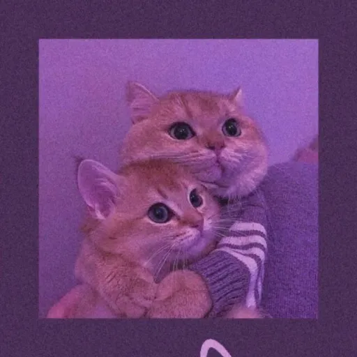 creator Sophie_barbie149's avatar