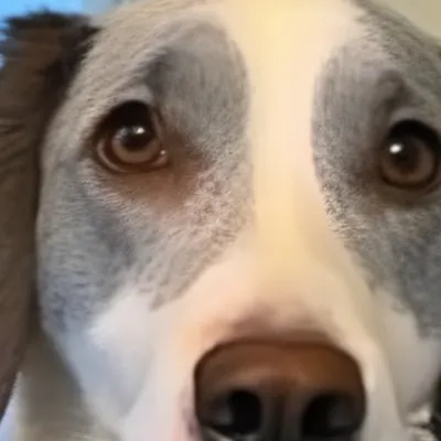 chat with ai character: Charlry 