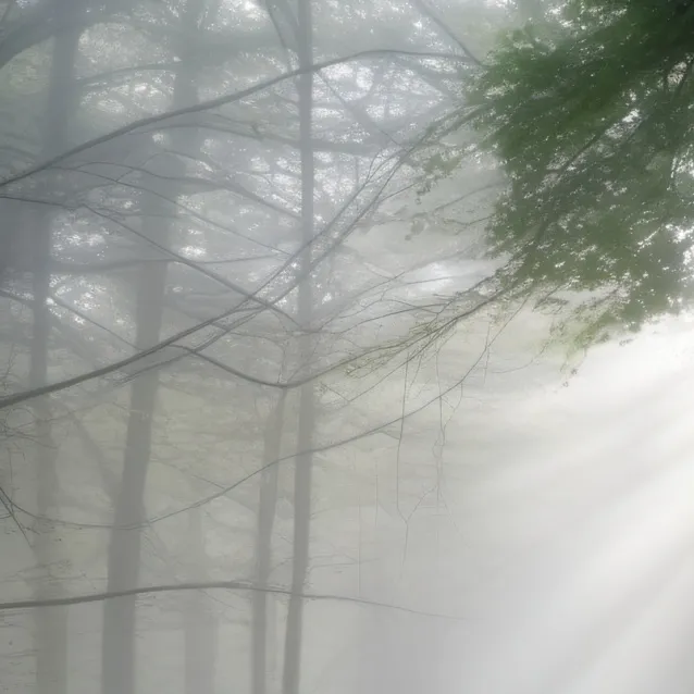 chat with ai character: Riley