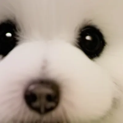 chat with ai character: Mia