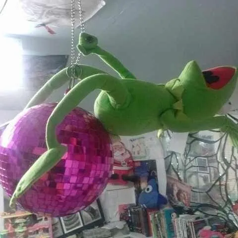 creator mikaela😜❤️'s avatar