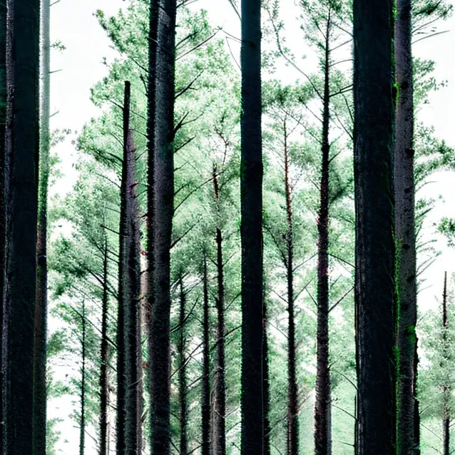 chat with ai character: CYOA forest