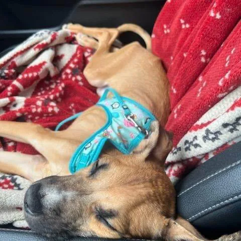 creator Milo123's avatar