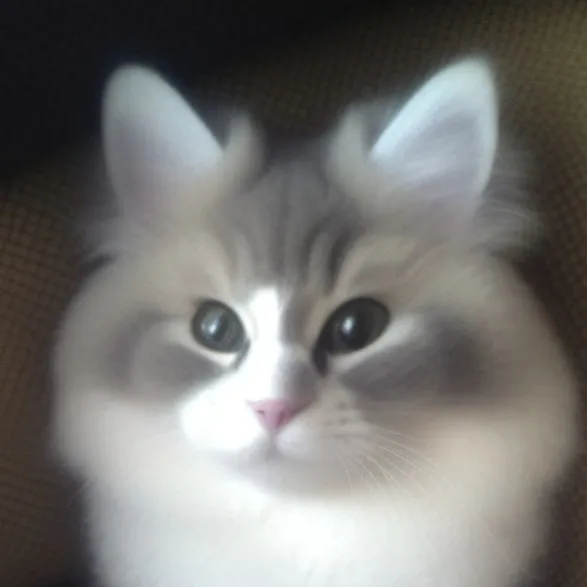 chat with ai character: Victor