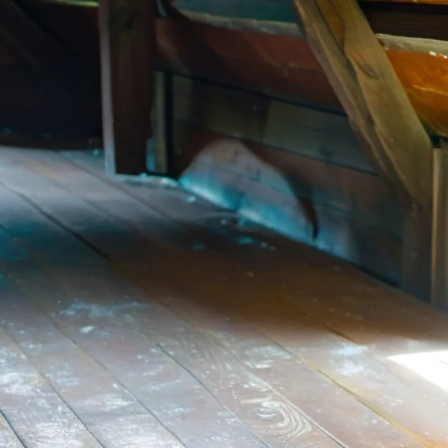 chat with ai character: Mold & Mildew