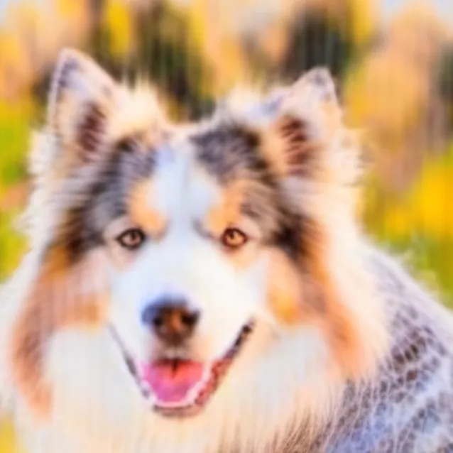 chat with ai character: No name