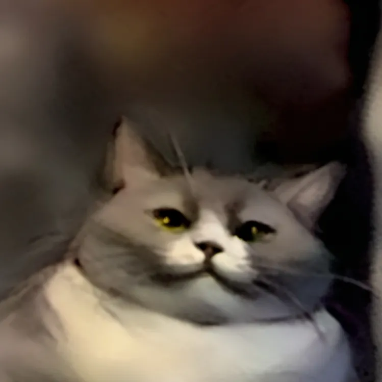 chat with ai character: Lucy