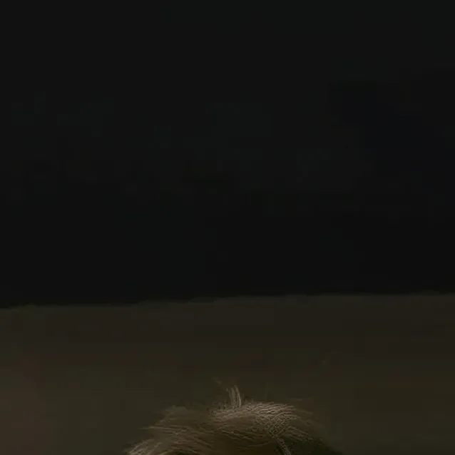 chat with ai character: genloss Charlie 