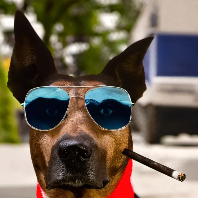 chat with ai character: veshremy 