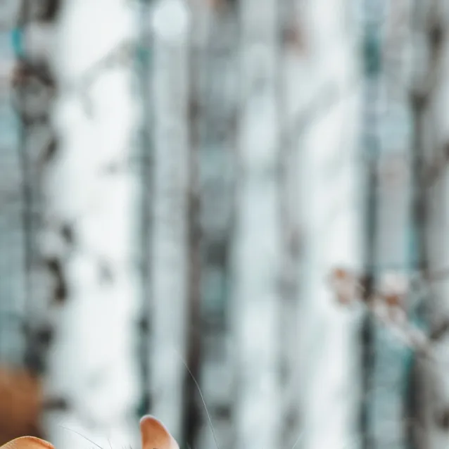 chat with ai character: fat rat