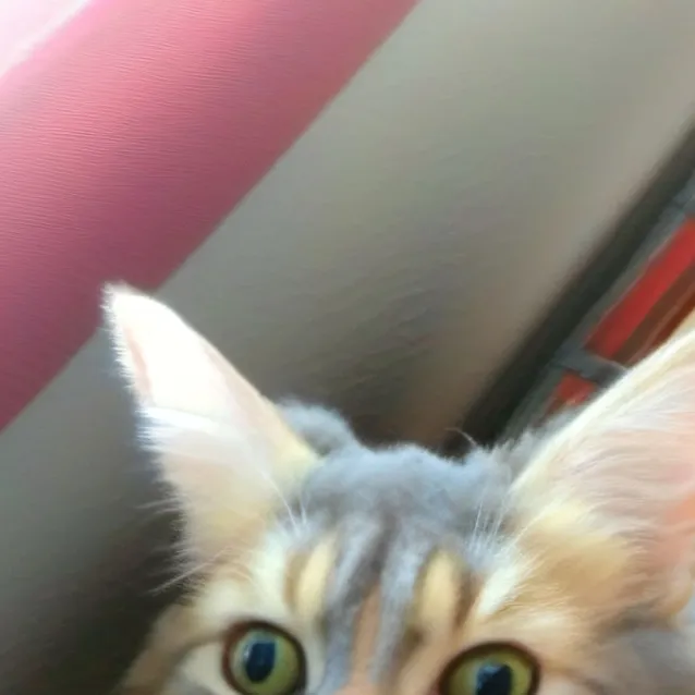 chat with ai character: Neo/neopoltin