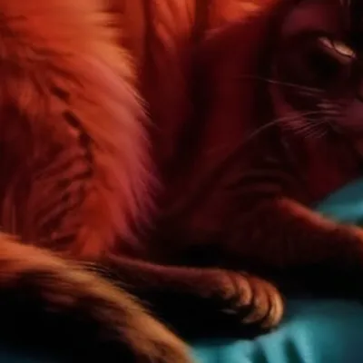 chat with ai character: Monster catnap 