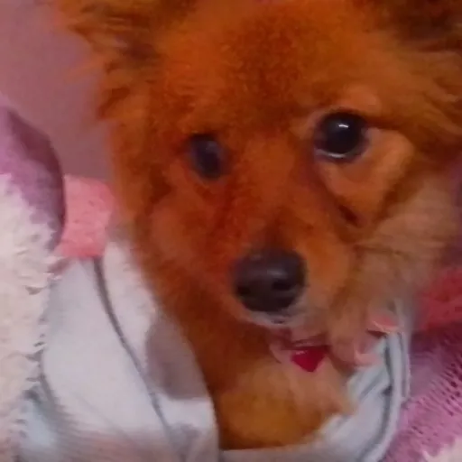 creator Talkior-kdErXYEN's avatar