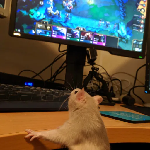 creator Ur mum :)'s avatar