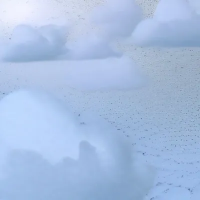 chat with ai character: “Name of ur cat”