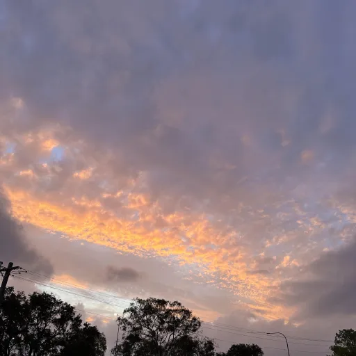 creator ●○•Suyama•○●'s avatar