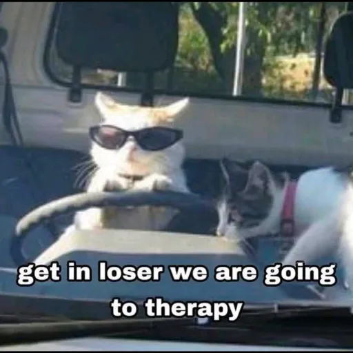 creator Dark cat shade's avatar