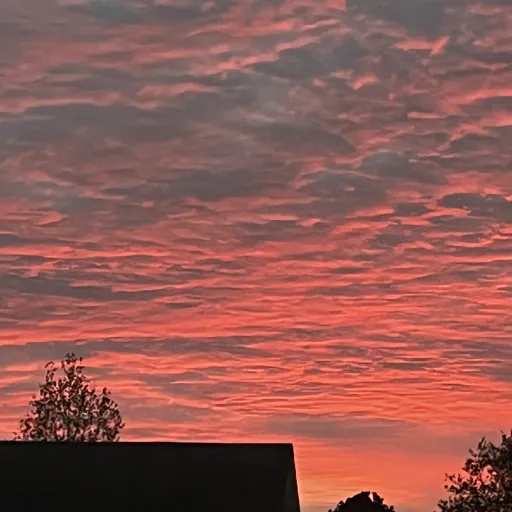 creator NK (Nezuko Kamado)'s avatar