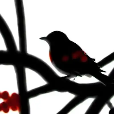 chat with ai character: Phighting SO 