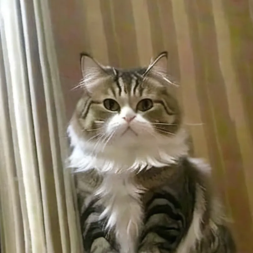 chat with ai character: storm