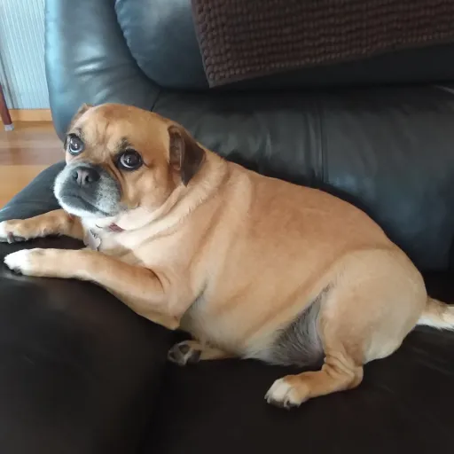 creator Bleepereeper's avatar