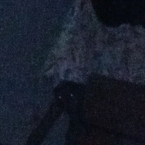 creator Toa's avatar