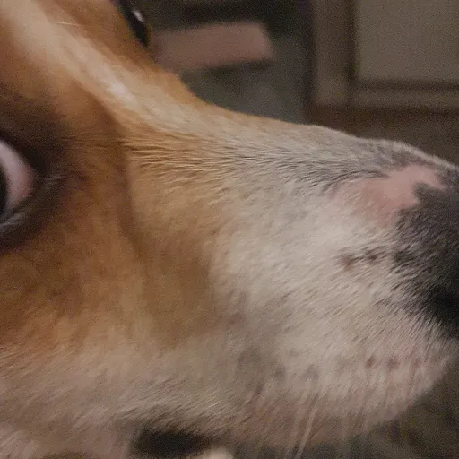 creator AquaticYT's avatar