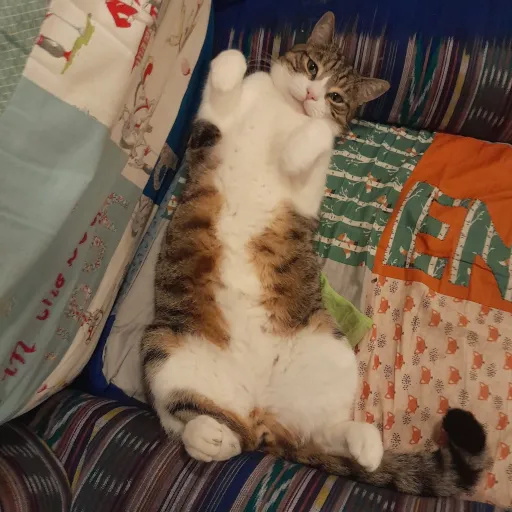 creator Electra 2333444555's avatar