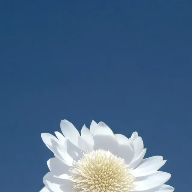 chat with ai character: jax