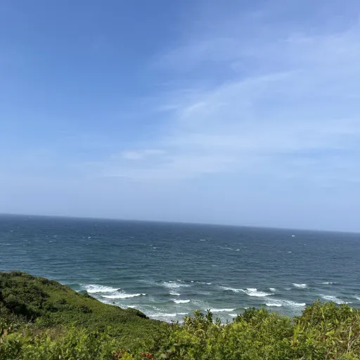 creator Hallie☺️😍😋🙂's avatar