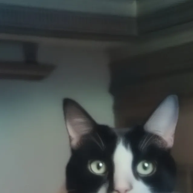 chat with ai character: luna