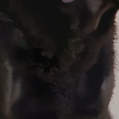 chat with ai character: UBU