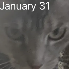 creator Not to be that guy's avatar