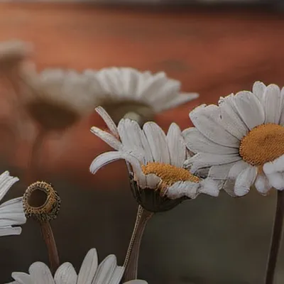 chat with ai character: Avengers 1800s