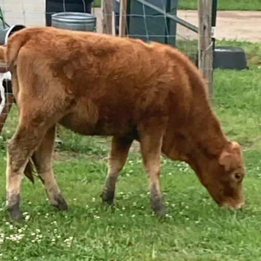 creator Talkior-k1sZ6BCi's avatar