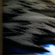 chat with ai character: Strinck 