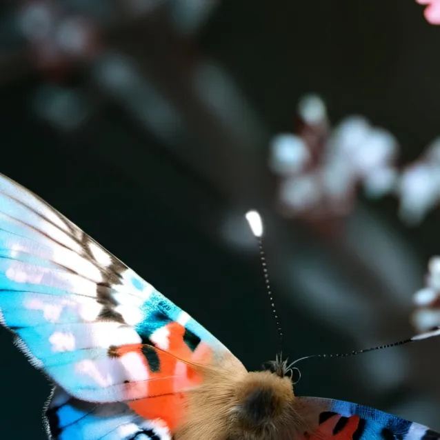 chat with ai character: 28456