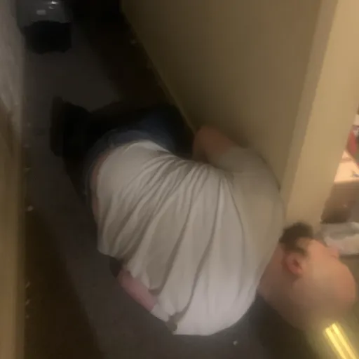 creator Y/N <3's avatar