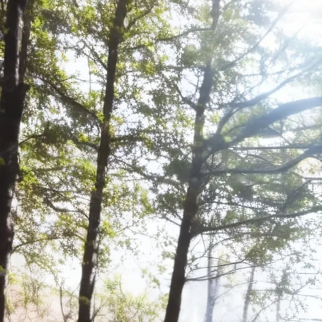 chat with ai character: chyenne 