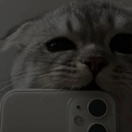 creator ᴍᴏᴄʜɪ ु's avatar