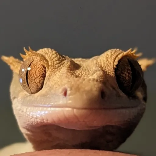 creator raven_ghost's avatar