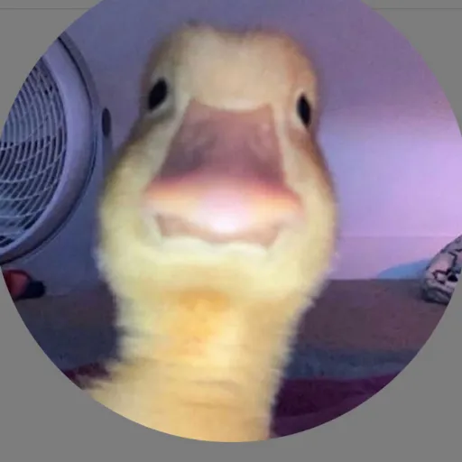 creator Fnf_boyy's avatar