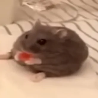 creator Raty~'s avatar