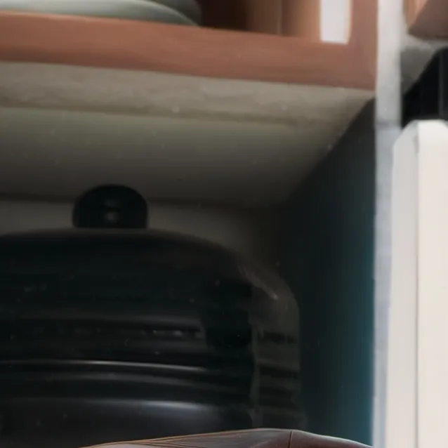 chat with ai character: a cucaracha 