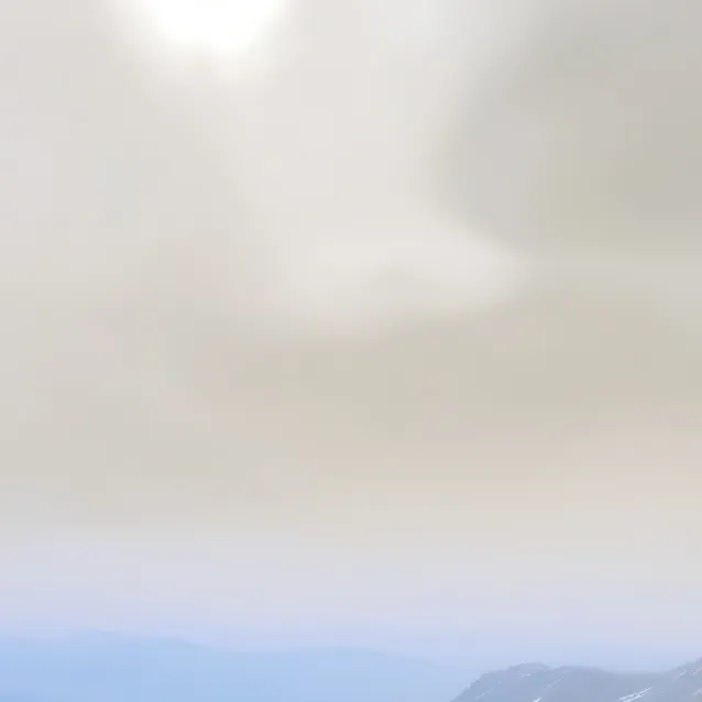 chat with ai character:  amung  us dog