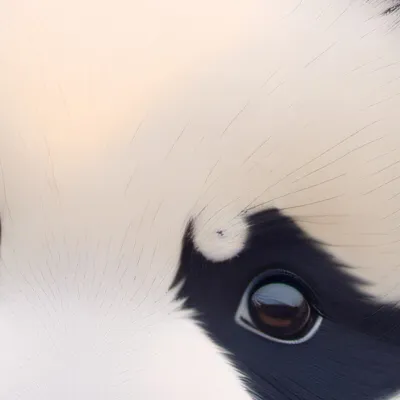 chat with ai character: Zoro