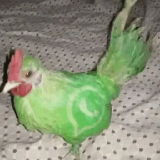 creator HOjjey80's avatar