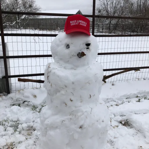 creator Hi yall I’m me's avatar