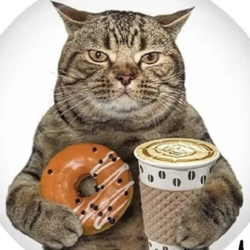 creator Sigma boy1234's avatar